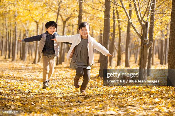 two children playing in autumn woods - pretending to be a plane stock pictures, royalty-free photos & images