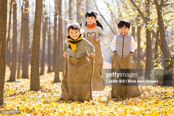 three children having a sack race in autumn woods - three children having a sack race in autumn woods stock pictures, royalty-free photos & images