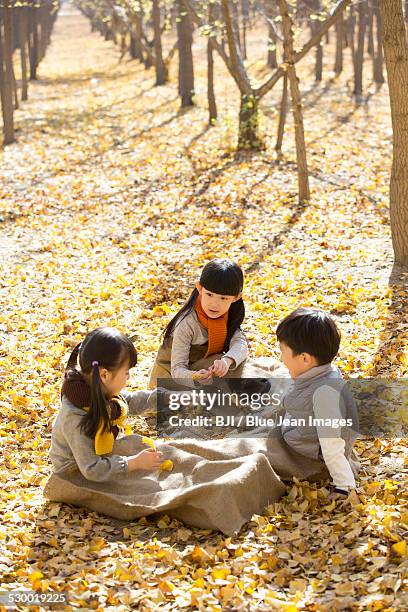 three children playing and talking in autumn woods - three children having a sack race in autumn woods stock pictures, royalty-free photos & images