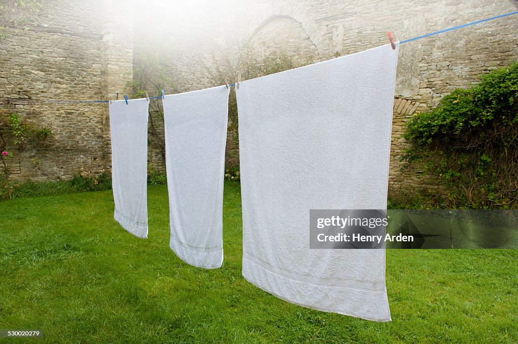 Three white towels on clothes line in walled garden