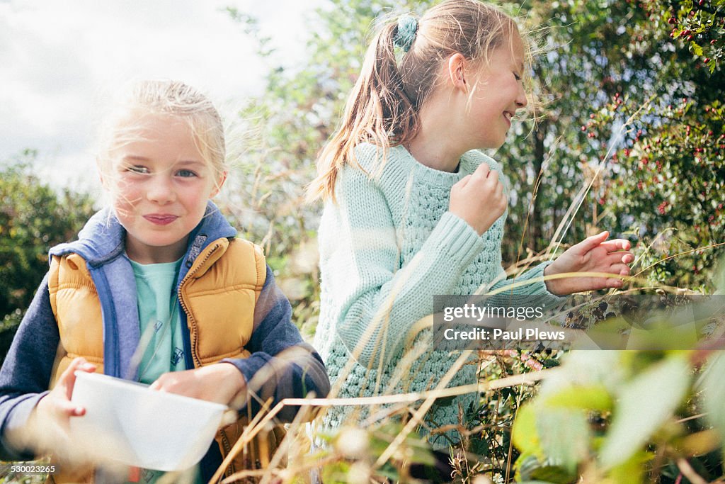 Two girls picking blackberries