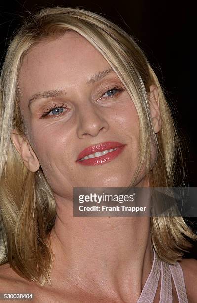 Actress Nicolette Sheridan arrives at the premiere of "Ocean's 12," held at Grauman's Chinese Theatre.