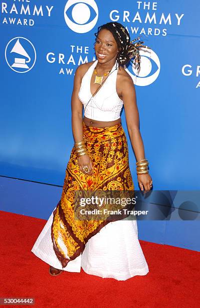 India.Arie arrives at the 44th annual Grammy Awards.