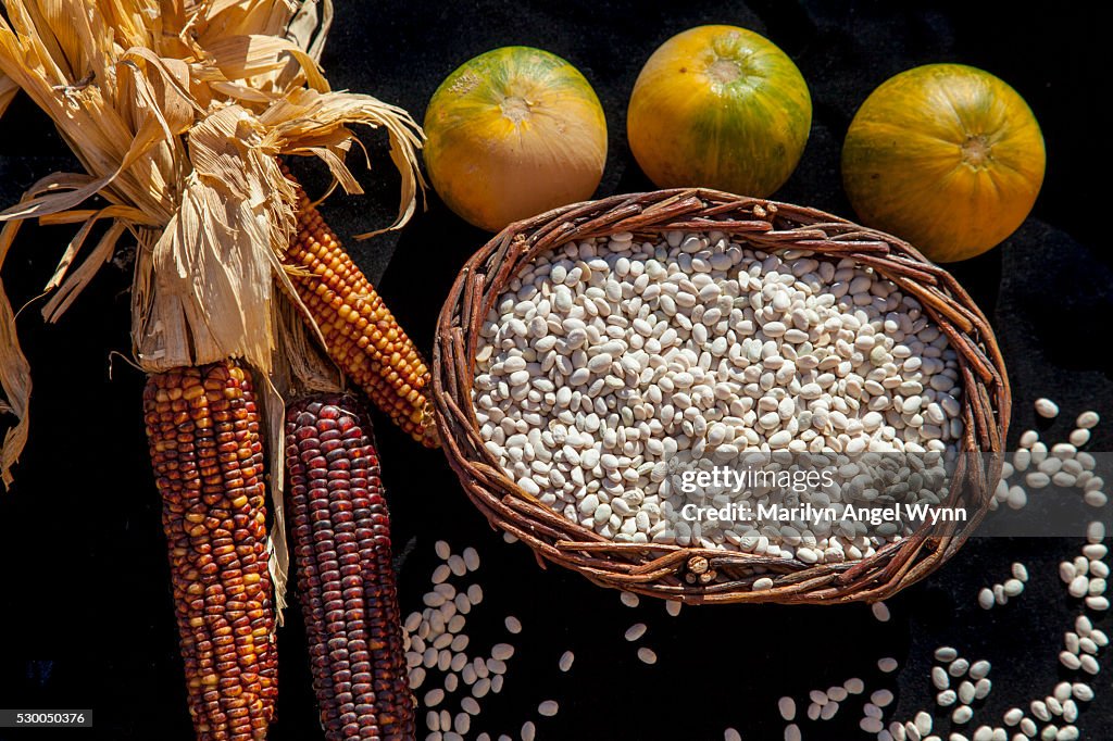 Traditional Foods of the Southwest Tribes