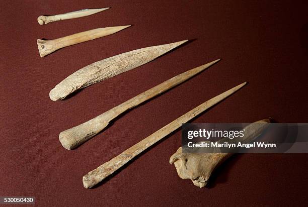 assorted bone needles - anasazi culture 個照片及圖片檔