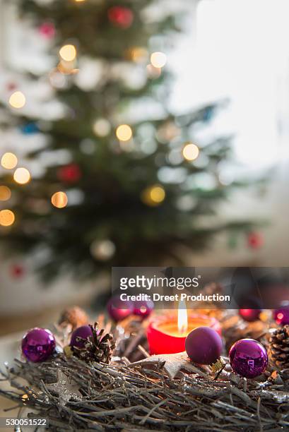 decorative advent wreath with burning candle in front of christmas tree, bavaria, germany - advent kerze stock-fotos und bilder