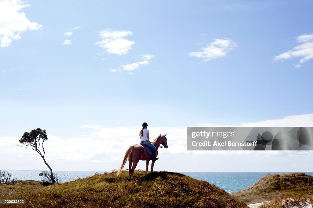 Horse rider on hilltop, Pakiri Beach, Auckland, New Zealand