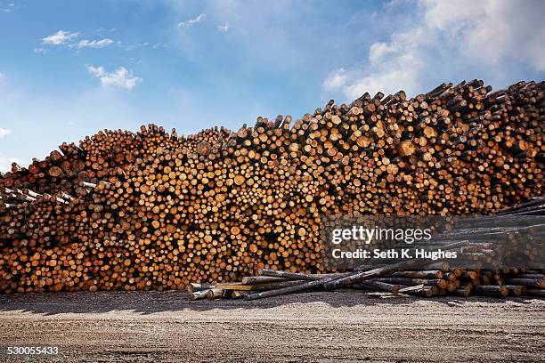 Timber Bytes Timber Yard Photos and Premium High Res Pictures - Getty Images