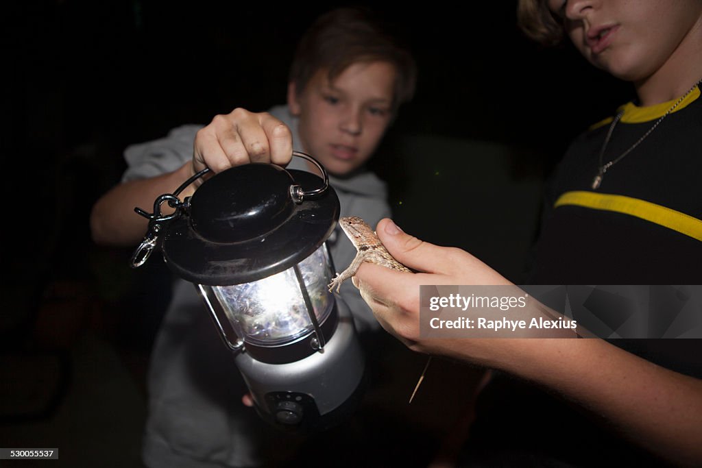 Two brothers holding Spiny lizard at night, Tucson, Arizona, USA