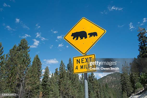 bear warning sign on highway 56, south lake tahoe, nevada, usa - blue bear stock-fotos und bilder