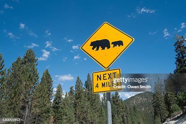 bear warning sign on highway 56, south lake tahoe, nevada, usa - blue bear stock pictures, royalty-free photos & images