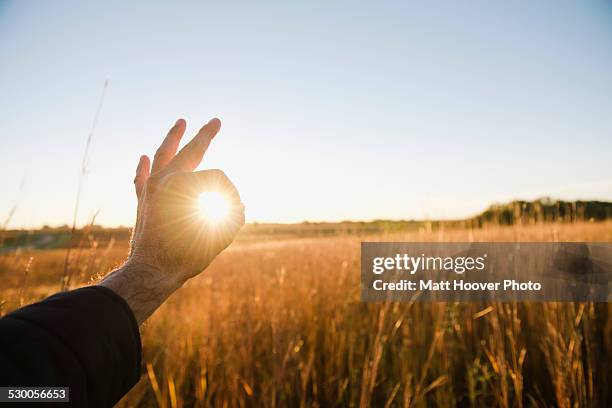 hand of farmer encircling sun in wheat field at dusk, plattsburg, missouri, usa - hands circle fotografías e imágenes de stock