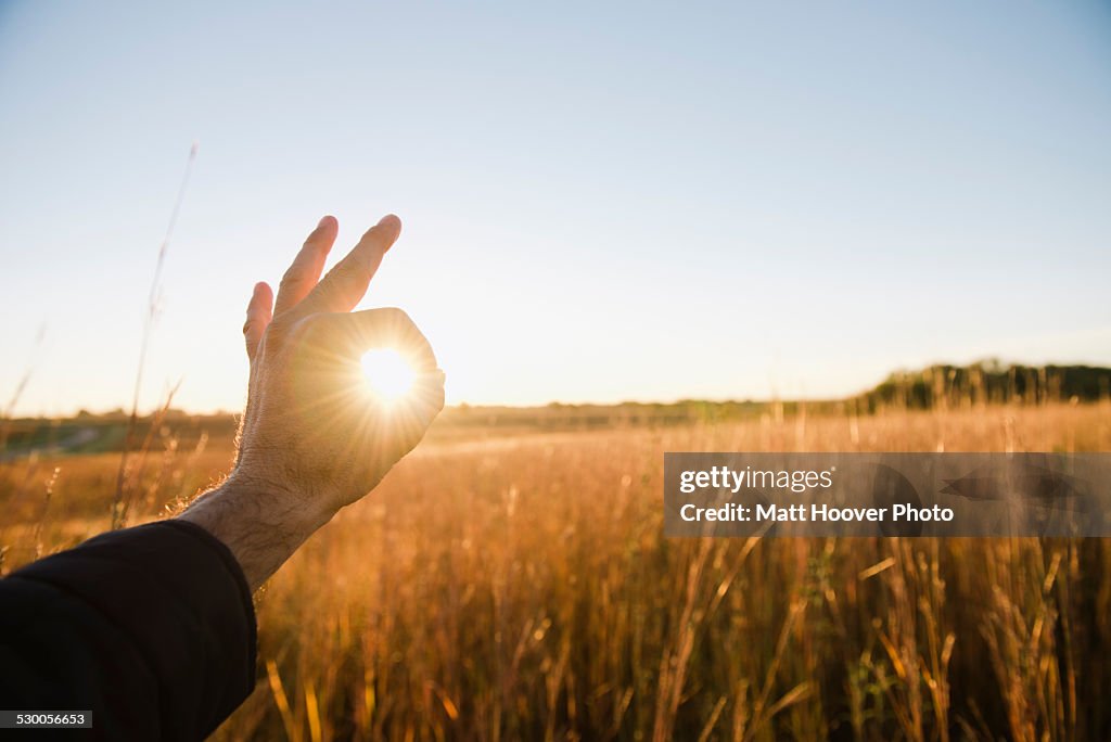 Hand of farmer encircling sun in wheat field at dusk, Plattsburg, Missouri, USA
