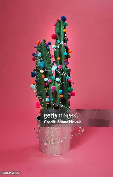 decorated cactus - christmas celebrations 2014 photos et images de collection
