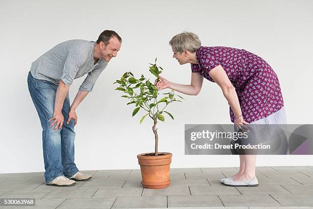 mature couple caring for little tree, smiling - hand on knee stock pictures, royalty-free photos & images