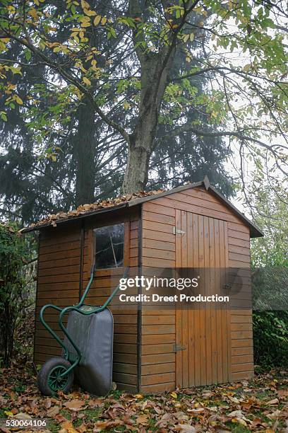 garden shed wheelbarrow autumn wooden - hut of branches stock pictures, royalty-free photos & images