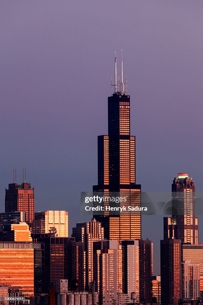 USA, Illinois, Chicago, Gold Coast buildings in autumn