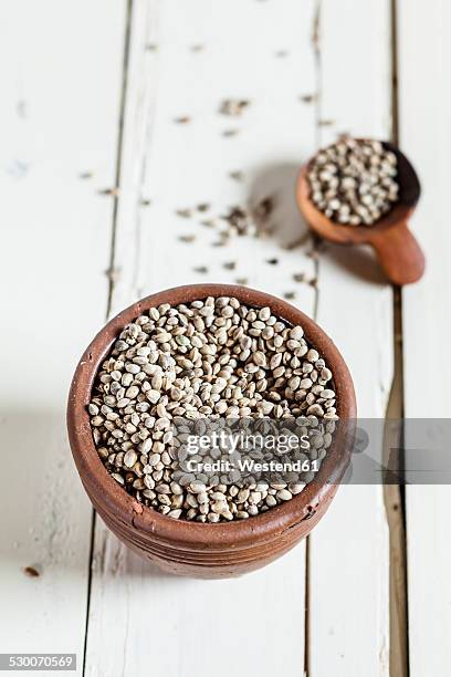 earthenware dish and wooden spoon of organic hemp seed, cannabis sativa, on white wood - hemp seed fotografías e imágenes de stock