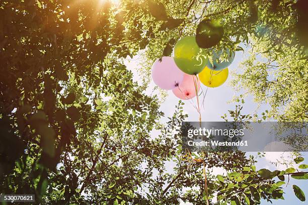 helium ballons hanging in trees - garden decoration fotografías e imágenes de stock