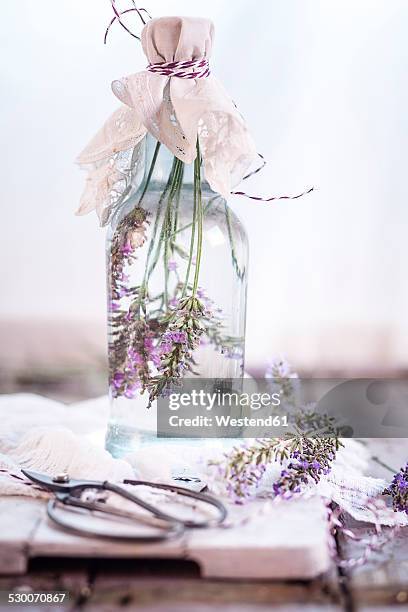 lavender vinegar, lavender blossoms with white wine vinegar - white vinegar stock pictures, royalty-free photos & images