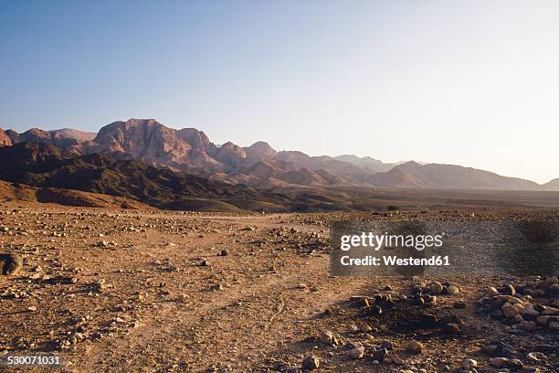 jordan, dana biosphere reserve, wadi feynan at sunset - dirt track stock pictures, royalty-free photos & images