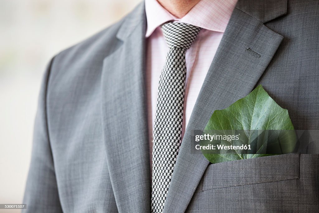 Businessman with green leaf in his jacket pocket
