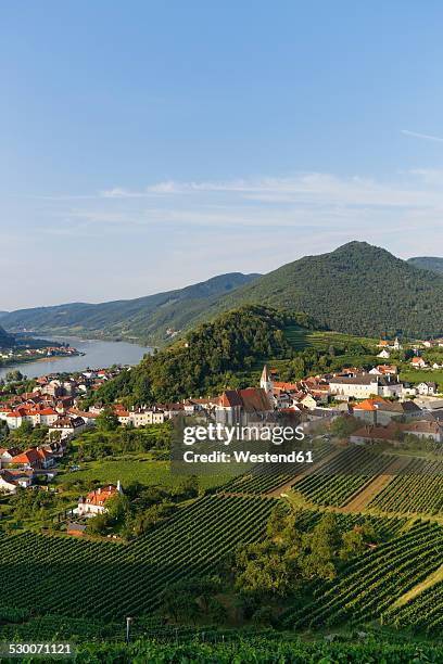 austria, lower austria, waldviertel, wachau, donau river, spitz an der donau - lower austria stock pictures, royalty-free photos & images