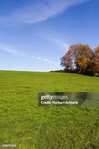 Eichenau Eichenau Photos and Premium High Res Pictures - Getty Images