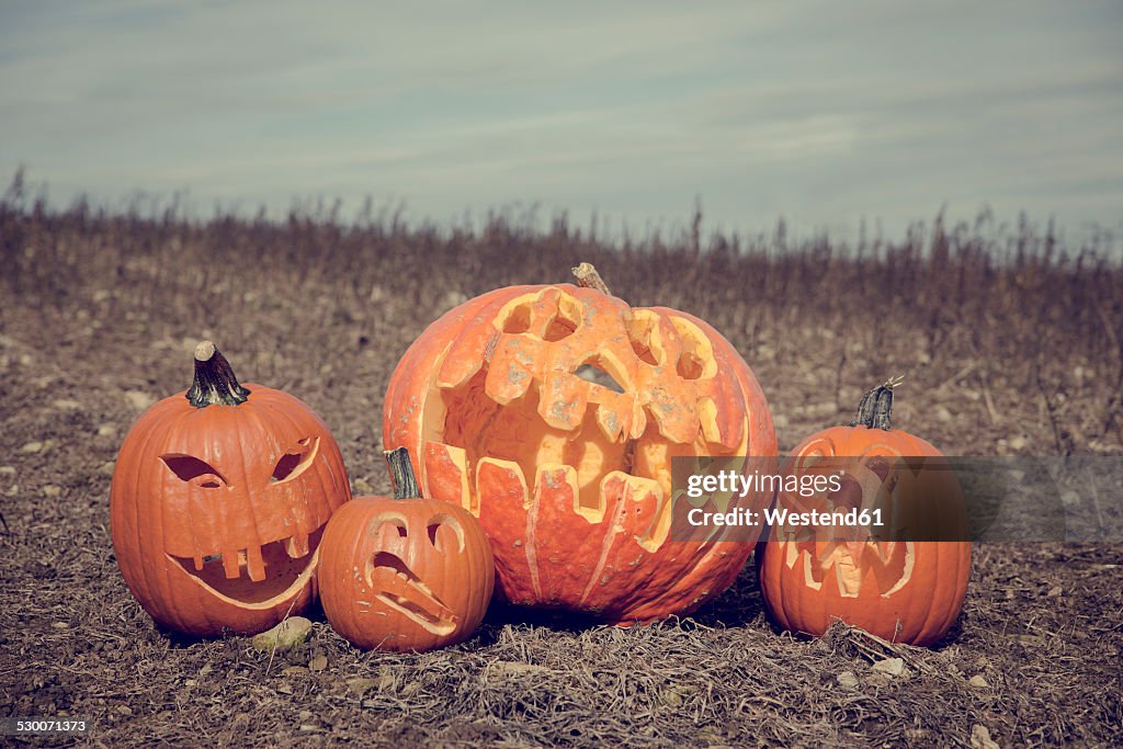 Germany, Baden-Wuerttemberg, Halloween, pumpkins on field