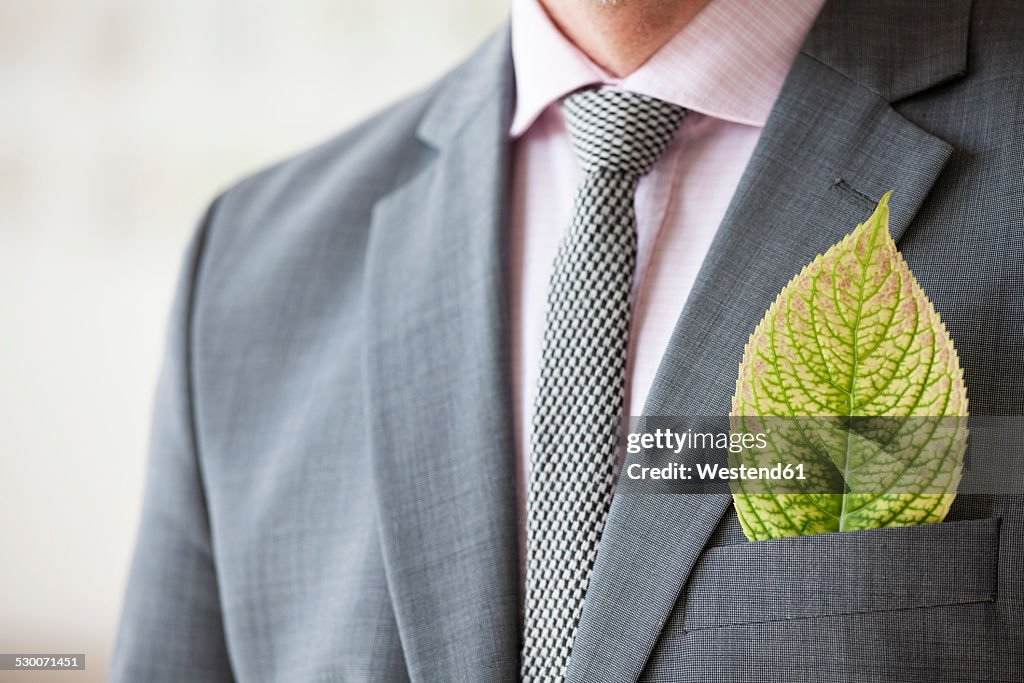 Businessman with leaf in his jacket pocket