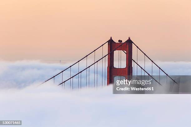 usa, california, san francisco, golden gate bridge in fog seen from hawk hill - golden gate bridge city fog stock-fotos und bilder
