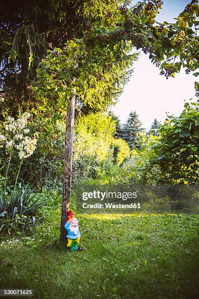 germany, northrhine westphalia, bornheim, gardengnome under tree - 庭の置物 ストックフォトと画像