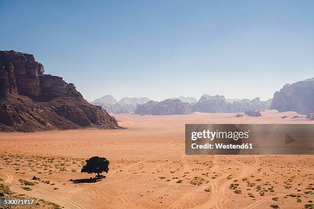 jordan, jordan, dana biosphere reserve, wadi feynan - bioreserve stock pictures, royalty-free photos & images