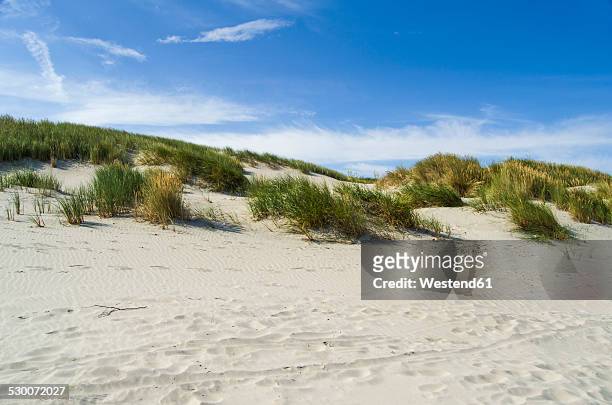 germany, lower saxony, east frisian island, juist, dune landscape - sand dune stock pictures, royalty-free photos & images