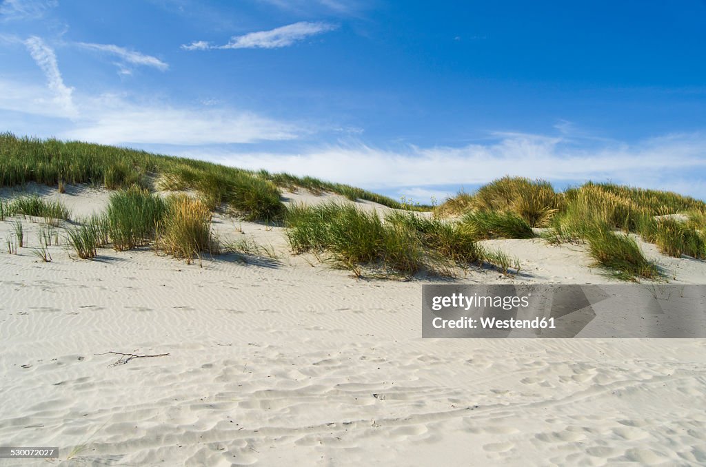 Germany, Lower Saxony, East Frisian Island, Juist, dune landscape