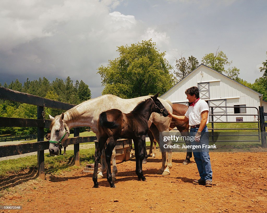 Novelist Rita Mae Brown with Horses on Farm News Photo Getty Images Novelist Rita Mae Brown with Horses on Farm News Photo Getty Images