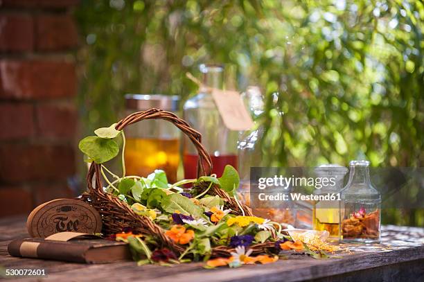 assortment of medicinal herbs - viola odorata stock pictures, royalty-free photos & images