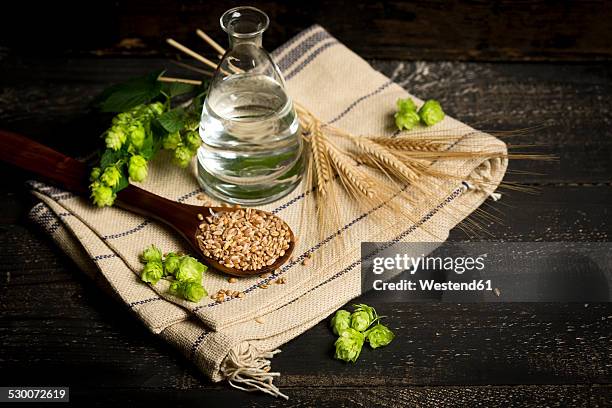 ingredients for brewing beer, hops, water, barley - barley stock pictures, royalty-free photos & images