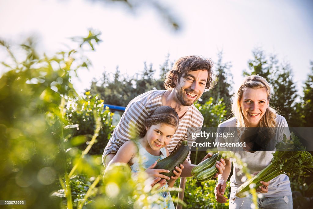 Germany, Northrhine Westphalia, Bornheim, Family working in vegetable garden