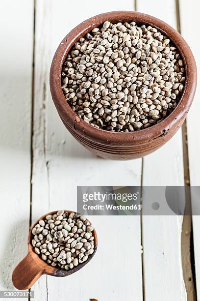 earthenware dish and wooden spoon of organic hemp seed, cannabis sativa, on white wood - hemp seed 個照片及圖片檔