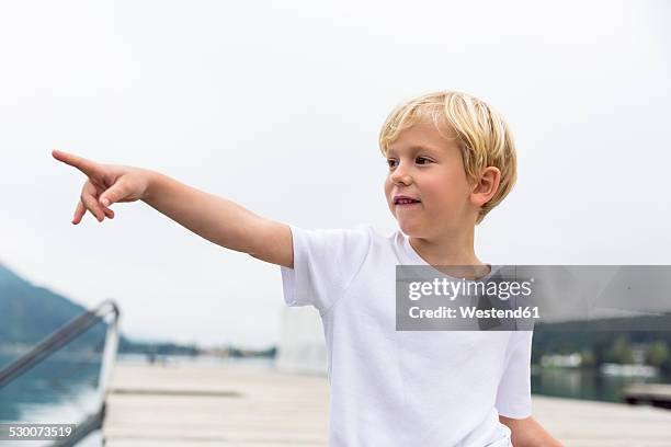 portrait of little boy standing on a jetty pointing on something - dedo índice fotografías e imágenes de stock