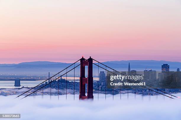 usa, california, san francisco, skyline and golden gate bridge in fog seen from hawk hill - golden gate bridge panorama fog photos et images de collection