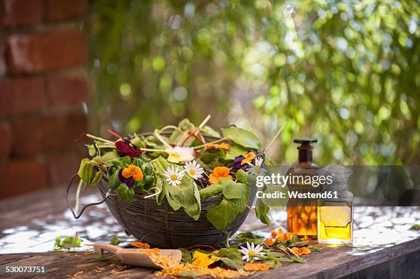 assortment of medicinal herbs - viola odorata stock pictures, royalty-free photos & images