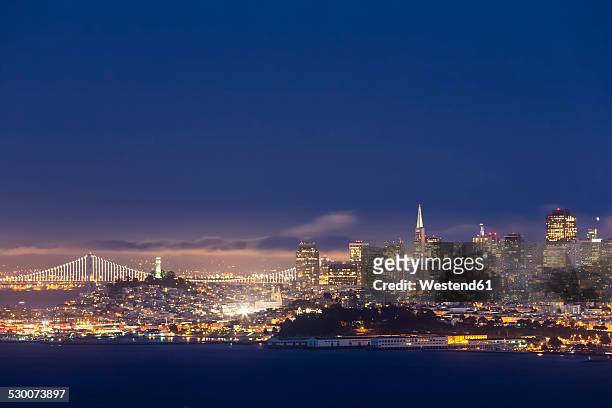 usa, california, san francisco, skyline and oakland bay bridge at the blue hour seen from hawk hill - skyline san francisco stock-fotos und bilder