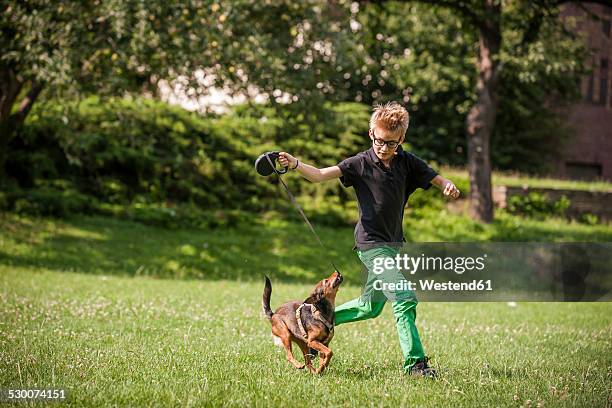 boy playing with his dog on a meadow - boy running with dog stock-fotos und bilder