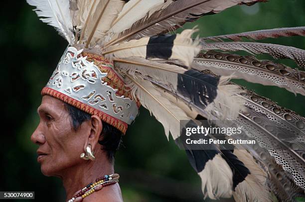 profile of iban warrior in feathered headdress - iban stockfoto's en -beelden