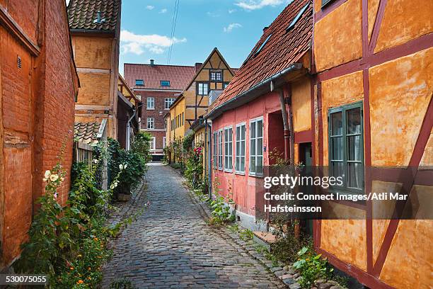 historic houses on cobbled street in helsingor, zealand, denmark - zealand denmark stock pictures, royalty-free photos & images