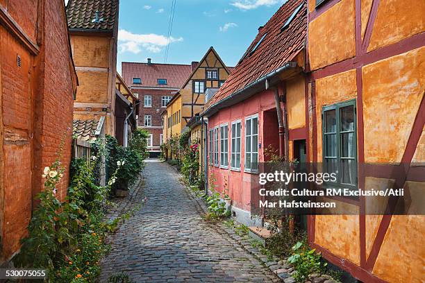 historic houses on cobbled street in helsingor, zealand, denmark - helsingor 個照片及圖片檔