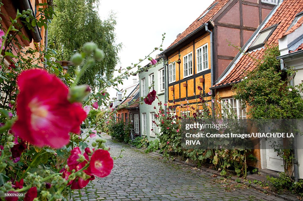 Cobbled street with historic houses in the old town, Aarhus, Denmark