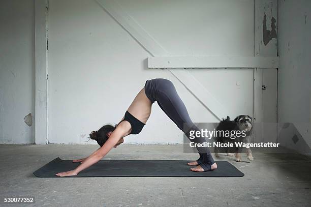 mid adult woman practicing downward facing dog pose in yoga studio, munich, bavaria, germany - upright position stock pictures, royalty-free photos & images